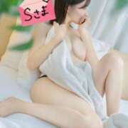 ヒメ日記 2025/11/21 04:25 投稿 あかり BIKINISPA「真」-ビキニスパ-