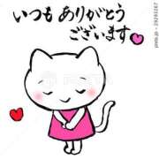 ヒメ日記 2025/12/15 15:31 投稿 みらい セクシーキャット 小田原店