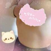 ヒメ日記 2025/12/12 00:54 投稿 篠原 わかな 一夜妻　大阪ミナミ店