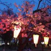 ヒメ日記 2026/02/23 10:08 投稿 まいこ 熟女の風俗最終章 沼津店