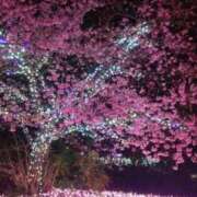 ヒメ日記 2026/03/02 14:08 投稿 まいこ 熟女の風俗最終章 沼津店