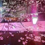 ヒメ日記 2026/03/12 23:15 投稿 まいこ 熟女の風俗最終章 沼津店