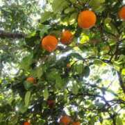 ヒメ日記 2026/03/13 09:22 投稿 まいこ 熟女の風俗最終章 沼津店