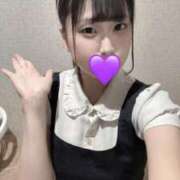 ヒメ日記 2025/11/16 13:42 投稿 しゅな アリスカフェ