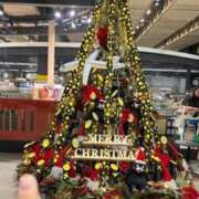 ヒメ日記 2025/11/20 09:53 投稿 きらりんレボリューション☆ Hills Premier