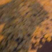 ヒメ日記 2025/12/02 23:01 投稿 きらりんレボリューション☆ Hills Premier