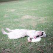 ヒメ日記 2025/12/10 16:33 投稿 きらりんレボリューション☆ Hills Premier