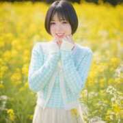 ヒメ日記 2026/04/18 12:43 投稿 きらりんレボリューション☆ Hills Premier