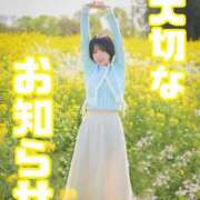 ヒメ日記 2026/04/25 19:13 投稿 きらりんレボリューション☆ Hills Premier