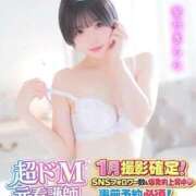 ヒメ日記 2026/04/26 15:14 投稿 きらりんレボリューション☆ Hills Premier