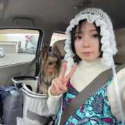 ヒメ日記 2026/05/20 11:46 投稿 きらりんレボリューション☆ Hills Premier