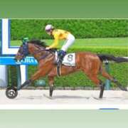 ヒメ日記 2025/12/12 12:03 投稿 らな☆ギャル好き必見！！ Hills Premier