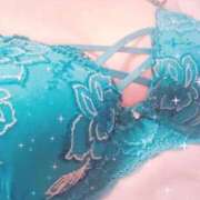 ヒメ日記 2025/11/18 18:16 投稿 なずな 待ちナビ