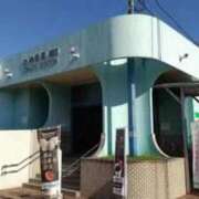 ヒメ日記 2025/11/30 11:36 投稿 なずな 待ちナビ