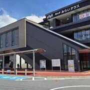 ヒメ日記 2025/12/21 12:29 投稿 なずな 待ちナビ