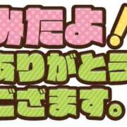ヒメ日記 2025/12/27 09:28 投稿 なずな 待ちナビ