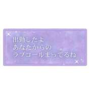 ヒメ日記 2026/01/25 09:04 投稿 なずな 待ちナビ