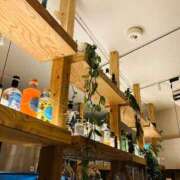 ヒメ日記 2026/03/24 11:15 投稿 夏目 杏樹 CASA BIANCA（カーサ・ビアンカ）