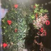 ヒメ日記 2026/01/29 14:03 投稿 新人　いずみ 素敵な女の子は好きですか？