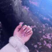 ヒメ日記 2026/04/08 08:18 投稿 いずみ 素敵な女の子は好きですか？