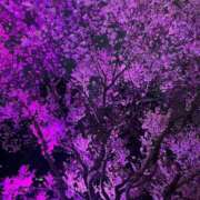 ヒメ日記 2026/04/09 08:18 投稿 いずみ 素敵な女の子は好きですか？