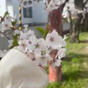 ヒメ日記 2026/04/18 23:42 投稿 いずみ 素敵な女の子は好きですか？