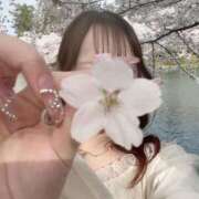 ヒメ日記 2026/04/19 20:18 投稿 いずみ 素敵な女の子は好きですか？