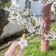 ヒメ日記 2026/04/22 08:42 投稿 いずみ 素敵な女の子は好きですか？