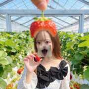 ヒメ日記 2026/05/17 13:19 投稿 いずみ 素敵な女の子は好きですか？