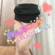 ヒメ日記 2026/04/07 22:05 投稿 あや clubさくら梅田店