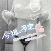 ヒメ日記 2026/04/12 22:56 投稿 あや clubさくら梅田店