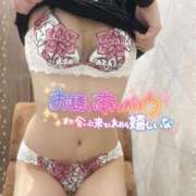 ヒメ日記 2026/05/15 21:25 投稿 あや clubさくら梅田店