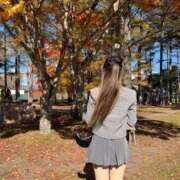 ヒメ日記 2025/11/26 12:46 投稿 藤井まりか Claris Tokyo～クラリス東京～