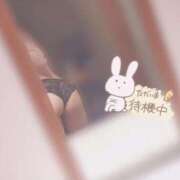 ヒメ日記 2026/01/17 19:30 投稿 のの ぷるるん小町梅田店