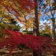 はる 秋……？それとも冬？ 秋葉原コスプレ学園in西川口