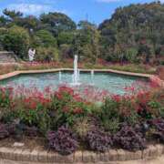 ヒメ日記 2025/12/14 18:00 投稿 はる 秋葉原コスプレ学園in西川口