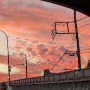 ヒメ日記 2025/12/16 18:01 投稿 はる 秋葉原コスプレ学園in西川口