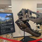 はる 休日の過ごし方🫶 秋葉原コスプレ学園in西川口