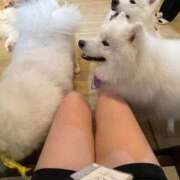 ヒメ日記 2025/12/03 12:22 投稿 りんご 密着指導！バカンス学園 尼崎校