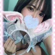 このか ~お知らせ~ ホワイトハウス