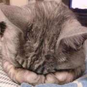 ヒメ日記 2025/11/25 15:42 投稿 井川 紀香 30代40代50代と遊ぶなら博多人妻専科24時