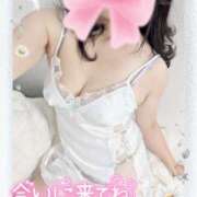 ヒメ日記 2026/03/01 16:52 投稿 井川 紀香 30代40代50代と遊ぶなら博多人妻専科24時