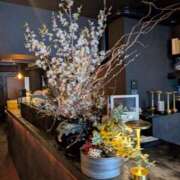 井川 紀香 久しぶりに… 30代40代50代と遊ぶなら博多人妻専科24時