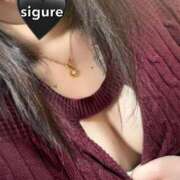 ヒメ日記 2026/02/17 12:34 投稿 しぐれ 千葉サンキュー