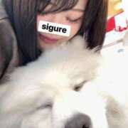 ヒメ日記 2026/03/02 18:02 投稿 しぐれ 千葉サンキュー