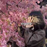 ヒメ日記 2026/03/07 11:46 投稿 しぐれ 千葉サンキュー