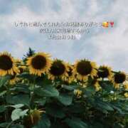 ヒメ日記 2026/03/10 12:03 投稿 しぐれ 千葉サンキュー