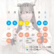 ヒメ日記 2025/12/29 12:01 投稿 せいな ごほうびSPA上野店