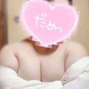 ヒメ日記 2025/12/28 11:29 投稿 うる 岐阜美濃加茂・可児ちゃんこ