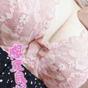 ヒメ日記 2026/03/12 00:19 投稿 うる 岐阜美濃加茂・可児ちゃんこ